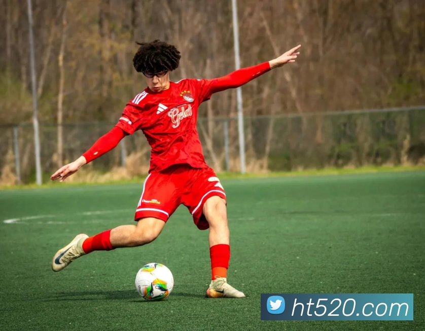 河豚直播官网平台生态图